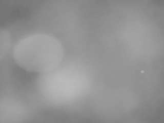 voyeurcam casa salsa pool 1